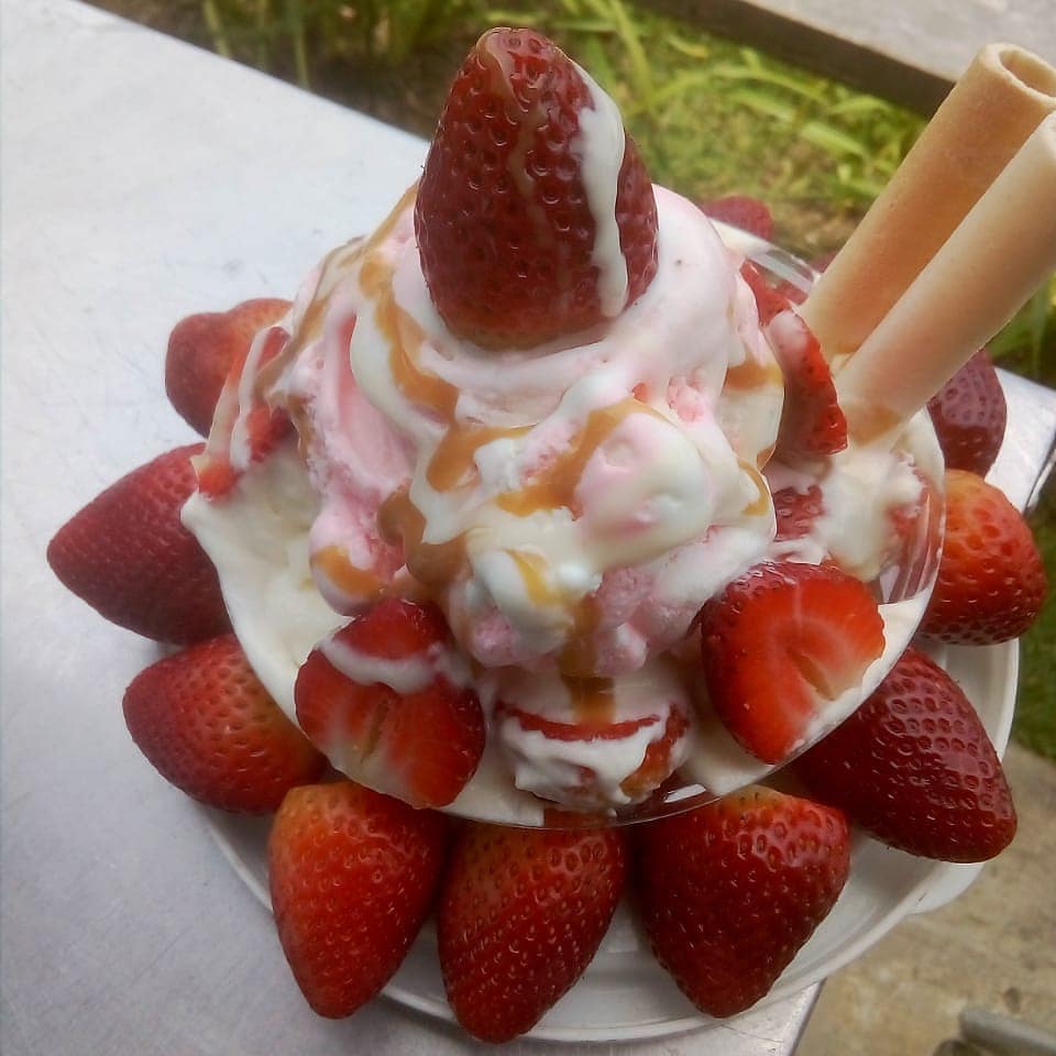 Fresas y Delicias Arví