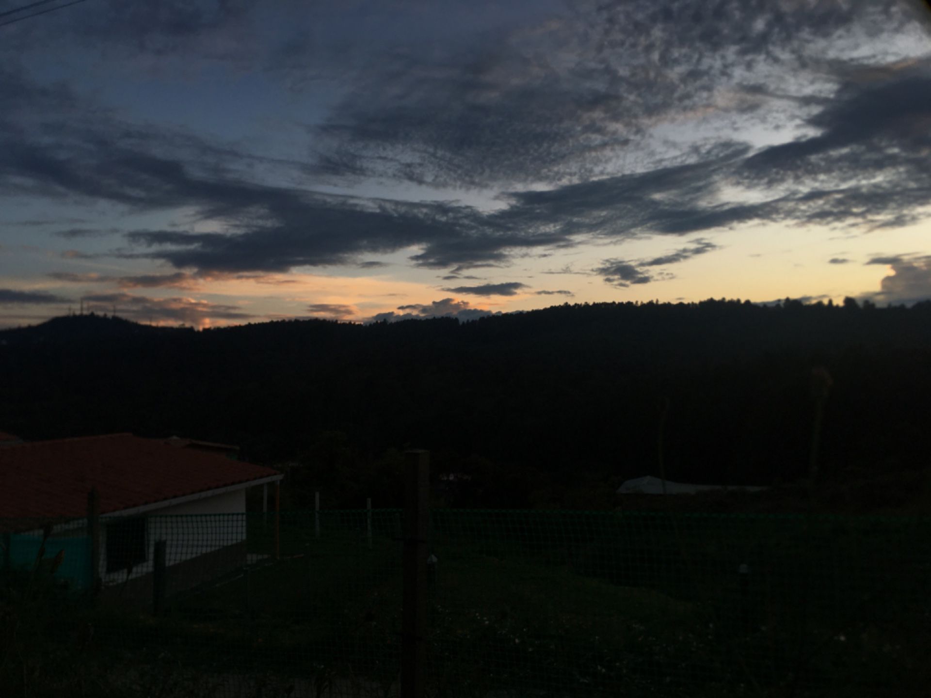 Tienda de mascotas Silvestre