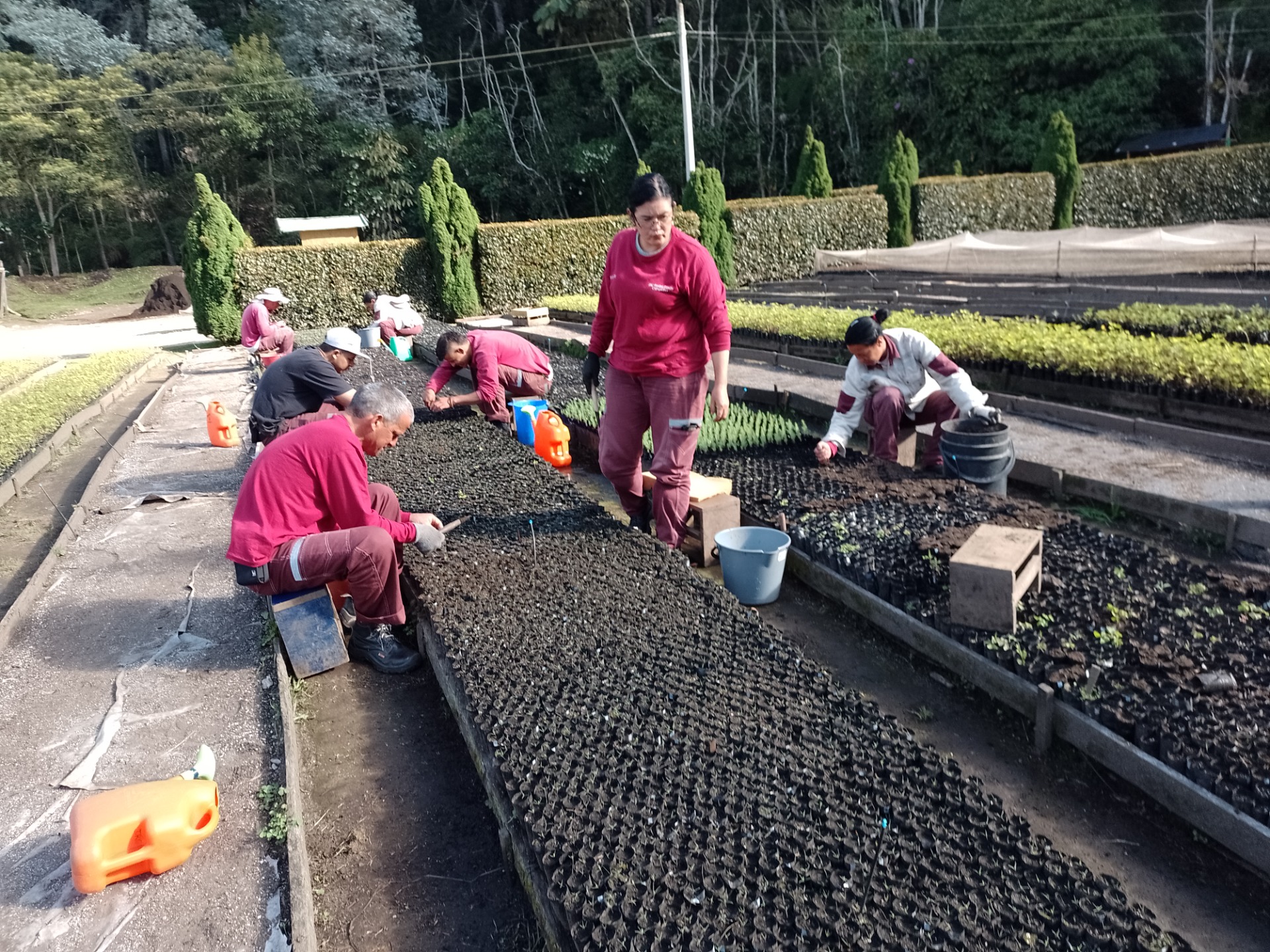 Vivero Robledales EPM