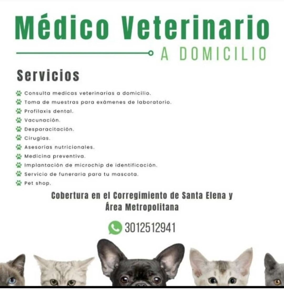 Servicio médico veterinario a domicilio